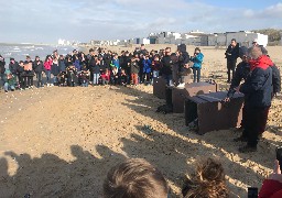 Relâché de phoques sur la plage de Sangatte