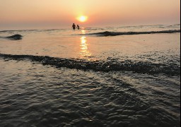 Berck élargit les horaires d'ouverture de la plage pour l'Ascension