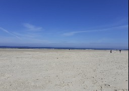 Berck: les horaires de la plage étendus pour le week-end de Pentecôte