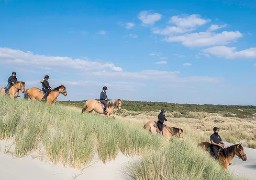 Le Figaro propose à ses lecteurs une promenade équestre en bivouac au Parc du Marquenterre