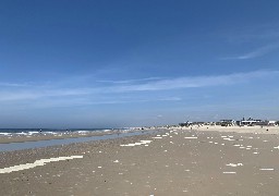 Berck obtient le Pavillon Bleu pour la 9ème fois consécutive