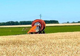 Somme : 14 mois de prison pour des vols dans des exploitations agricoles