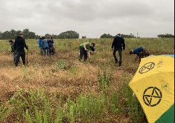 Action symbolique des écologistes ce mardi soir sur le futur emplacement de Tropicalia