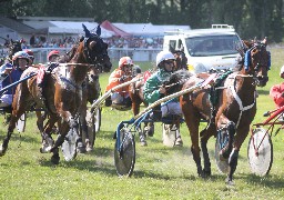 Réouverture le 12 juillet de l'hippodrome d’Abbeville Baie de Somme