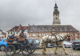 Sorties: découvrez Hesdin à bord d'une calèche