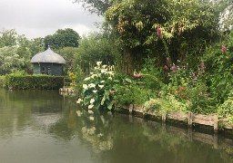 Partez à la découverte du 11ème Festival International des Hortillonnages d'Amiens