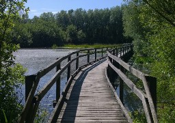 Guînes, le poumon vert du Calaisis 