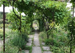 Profitez d'un instant de répit à l'Herbarium de Saint-Valery-sur-Somme