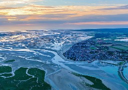 Cet été, découvrez les trésors naturels de la Baie de Somme !