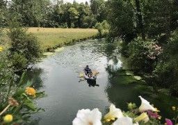 Et si vous descendiez la Canche entre Hesdin et Beaurainville ? 