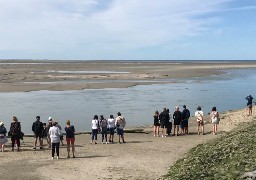 Sur notre littoral, les phoques ont toujours autant de succès !