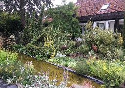 Promenade enchantée dans le Jardin botanique du Beau Pays à Marck-en-Calaisis