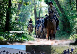 Découvrez le Touquet autrement grâce aux balades à cheval 