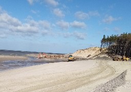 Baie d'Authie: où en est le chantier de renforcement du cordon dunaire ? 