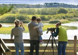 Le parc du Marquenterre signe une saison exceptionnelle !