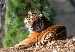 Journées du Patrimoine : l'entrée au Zoo d’Amiens à 1 euro tout le week end ! 