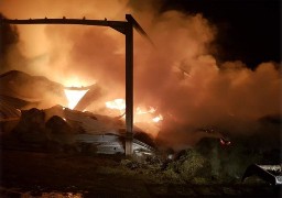 Rimboval : 9 bovins périssent dans l'incendie de deux hangars agricoles 