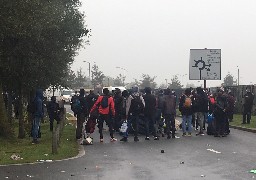 Plus de 600 migrants évacués du camp du Virval à Calais