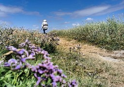 Fort-Mahon: participer à une parenthèse « green attitude » ce dimanche