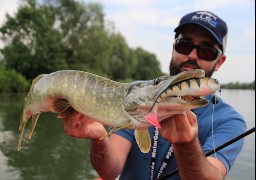 Dimanche, un concours de pêche sciences participatives est organisé à Samara.