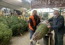 Les sapins naturels se vendent toujours aussi bien malgré le confinement