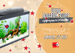 Grand jeu de Noël - Radio 6 vous offre votre aquarium équipé avec Animal Store