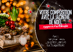 JEU SMS - Gagnez votre composition florale comprenant LA JACINTHE de Noël avec nos partenaires