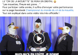 Carnaval de Dunkerque : le championnat du monde du cri de la mouette sera digital !