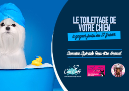 [Semaine spéciale BIEN-ÊTRE ANIMAL] - Jeu WEB et ANTENNE - Gagnez le toilettage de votre animal de compagnie