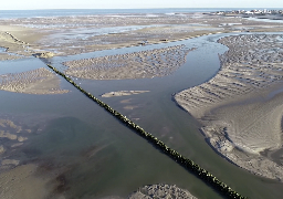 Désaccord autour de la digue Barrois en Baie d'Authie, des discussions entamées entre les élus du Montreuillois et de la Somme 