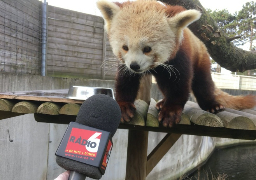 Le Parc Animalier de Fort Mardyck se réinvente avec la crise sanitaire.