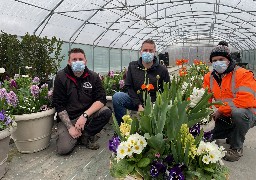 Au Touquet, les fleurs qui égayent les rues sont produites en interne