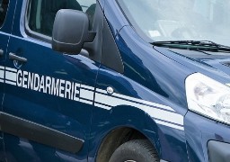 Guînes: un couple interpellé pour trafic de cannabis