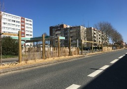 A Dunkerque, de nouveaux îlots de verdure sur les 3 kms du boulevard de la République ! 