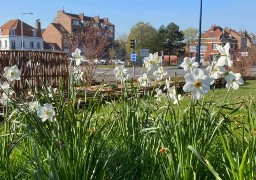 Le printemps fait fleurir les parcs et jardins de la ville de Dunkerque...