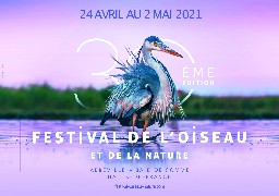 Somme: Le Festival de l'Oiseau et de la Nature débute ce week-end en version numérique