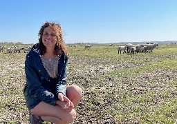 Rencontre avec Laure Poupart, seule bergère de la Baie de Somme