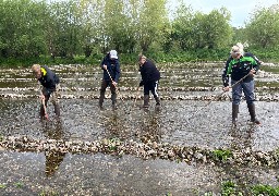 Enquin-sur-Baillon: la cressonnière de la commune a trouvé un repreneur