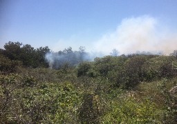 400m2 de broussailles parties en fumée dans les dunes de Blériot-Plage