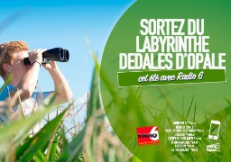 Sortirez-vous du labyrinthe de Dédales d'Opale