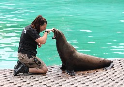 Amiens: zoom sur les animations estivales du zoo cet été