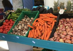 Des repas végétariens font leur entrée dans les cantines de Dunkerque !