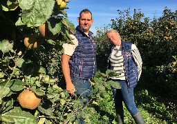 A Pitgam, allez croquer la Pomme au Verger Terroir du Nord ce week-end !