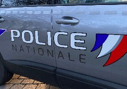 St-Pol-sur-mer: trois adolescentes volent et jetent un chien du 2e étage