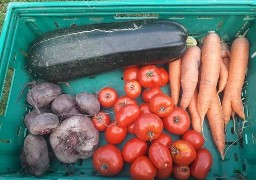 Des paniers de légumes pour faire avancer la recherche sur la mucoviscidose 