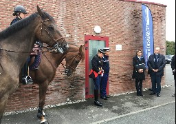 Une première en France : un poste à cheval est créé pour la Baie de Somme !