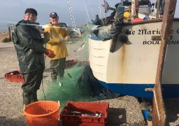 Berck : la fête du hareng côtier est annulée 