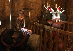 A Dunkerque, la féérie de Noël débute ce samedi ! 