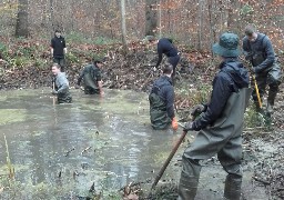  Nouveau chantier nature d’Eden 62 en forêt d’Eperlecques 