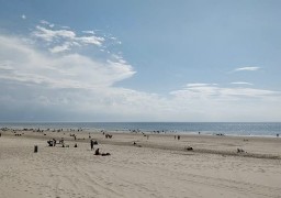  Cucq: la ville veut installer des bars de plage l'été prochain 